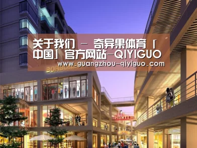 案例展示一(图1)