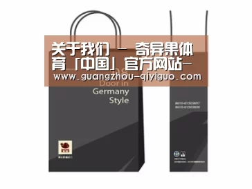 项目名称十四