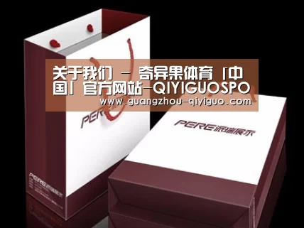 项目名称十二