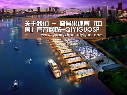 案例展示八