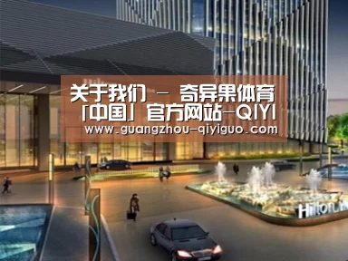 案例展示二