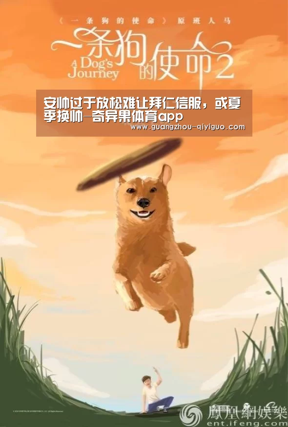 奇异果体育官网入口