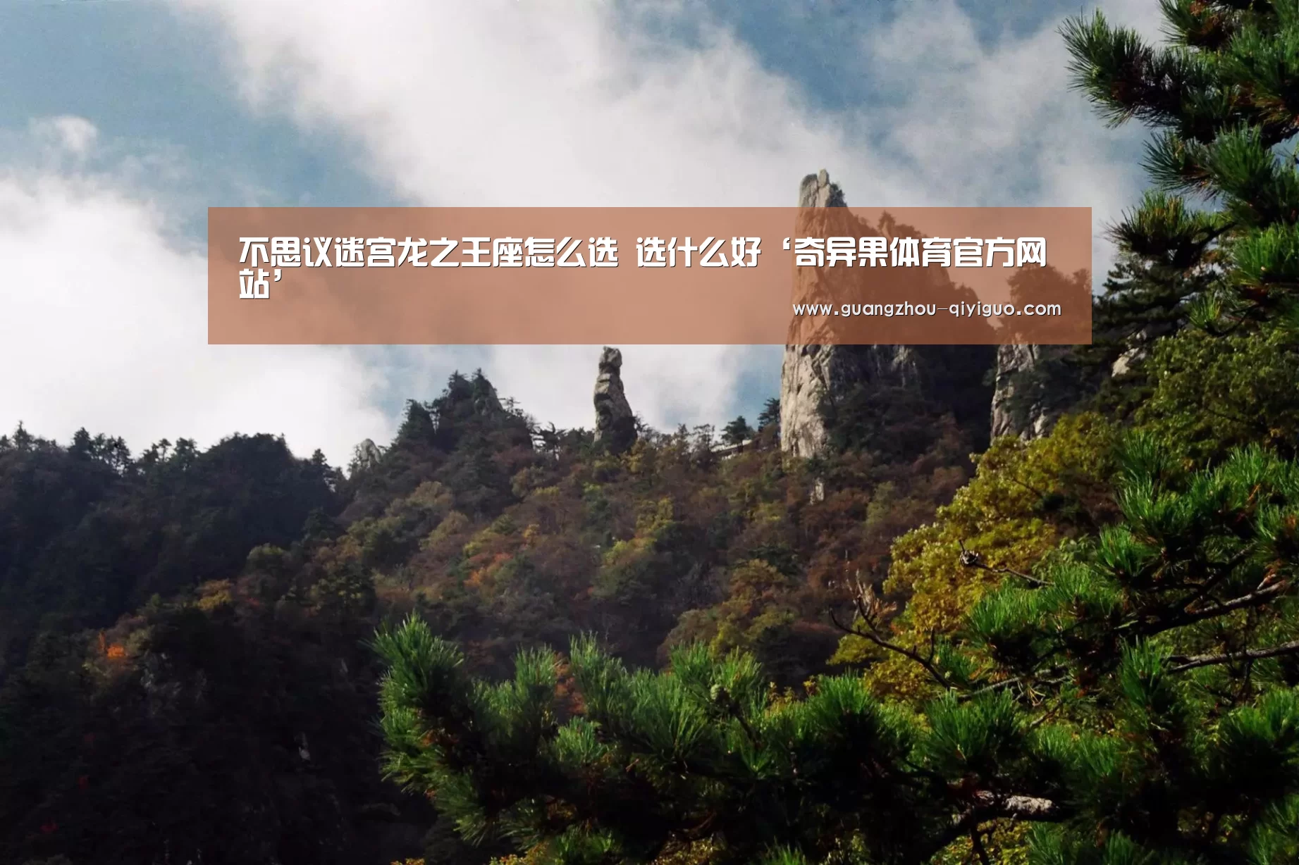 奇异果体育官方网站